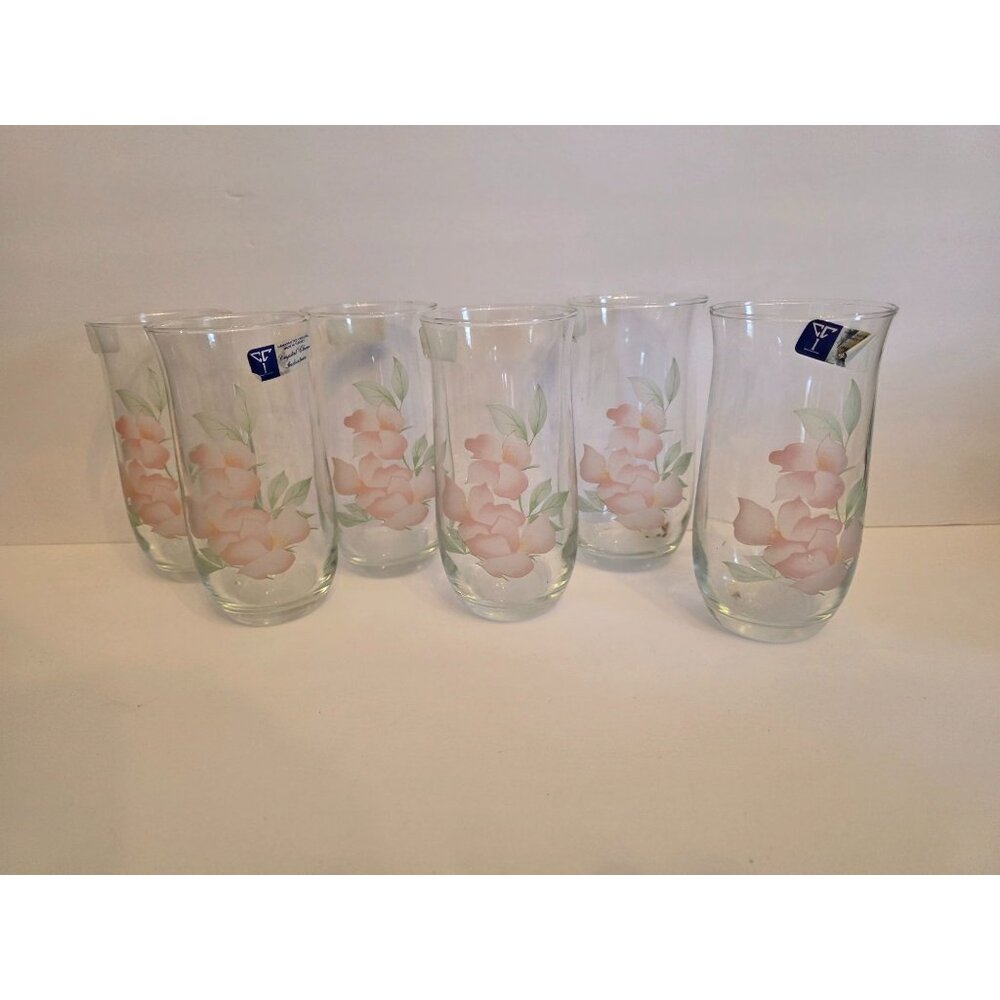 Set Of 6 Crystal Clear Industries Turkish Hand Painted Floral Glasses